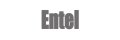 Entel Digital